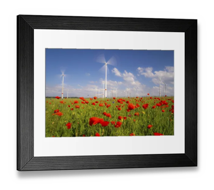 Framed Print : Wind farm, field with flower strips Framed Print : Wind farm, field with flower strips