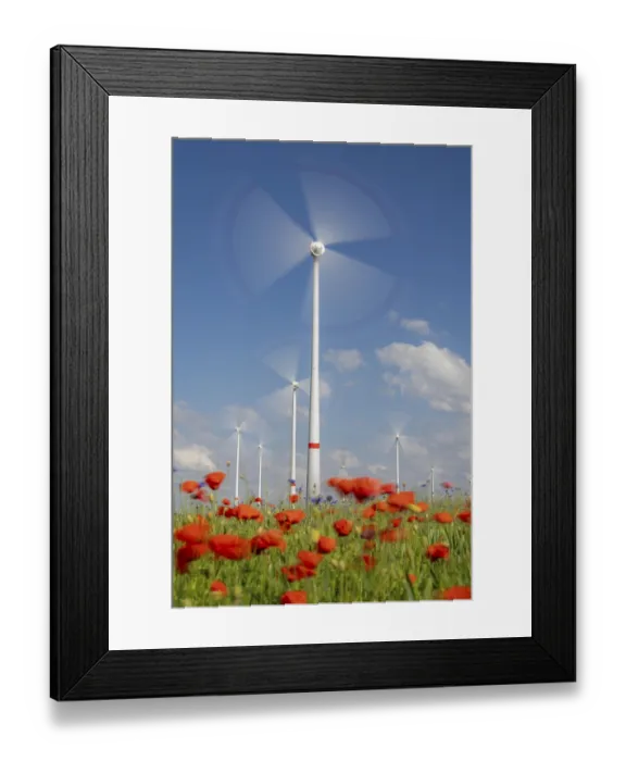 Framed Print : Wind farm, field with flower strips