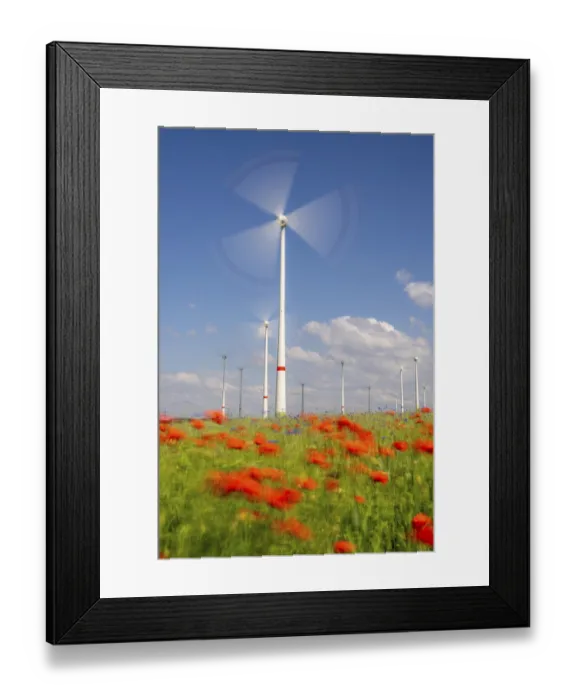 Framed Print : Wind farm, field with flower strips
