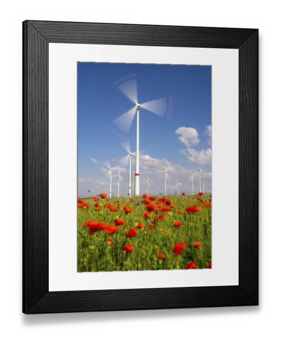 Framed Print : Wind farm, field with flower strips