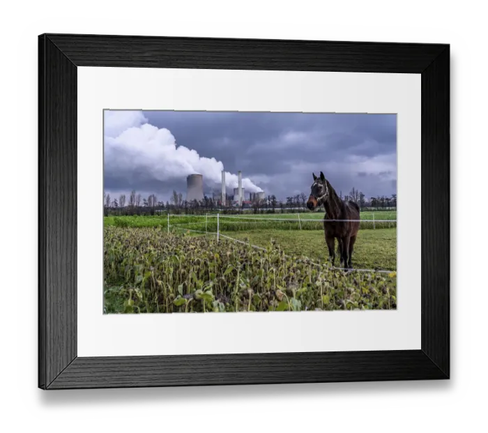 Framed Print : Paddock at the lignite-fired power station