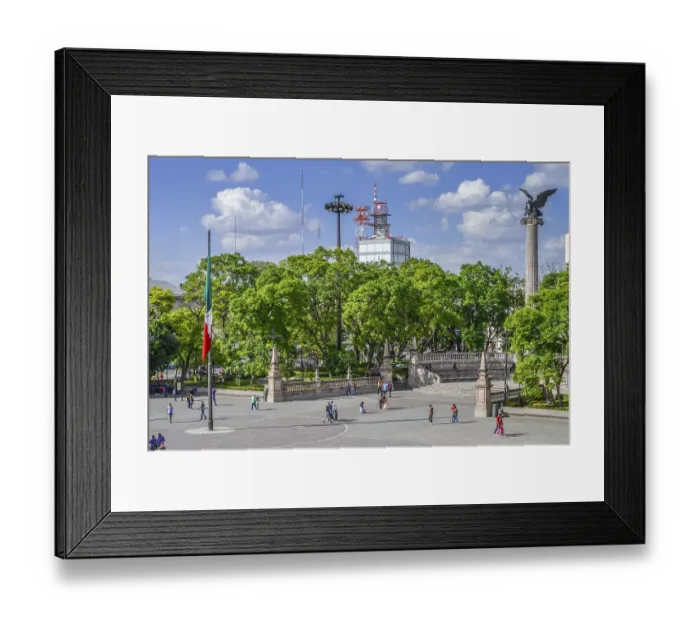Framed Print : Monument, national symbol, eagle with snake
