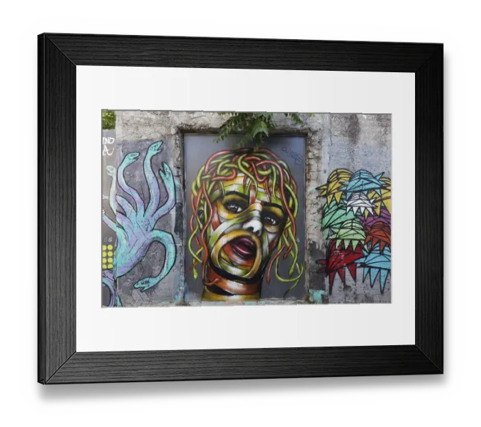 Framed Print : Medusa, female head with hair of colourful snakes Framed Print : Medusa, female head with hair of colourful snakes