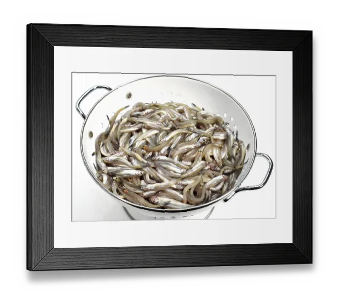 Framed Print : FRESH MELTING (osmerus eperlanus) IN DISH DRAINER