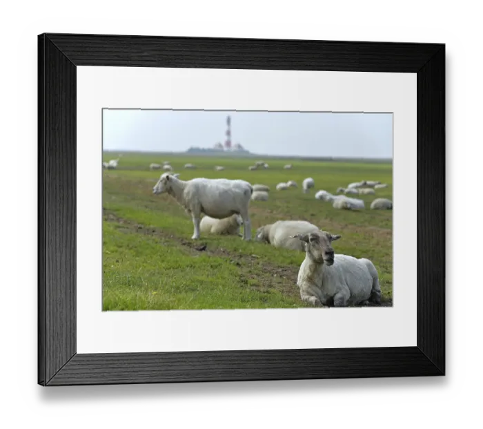 Framed Print : Lighthouse of Westerhever, Eiderstedt peninsula