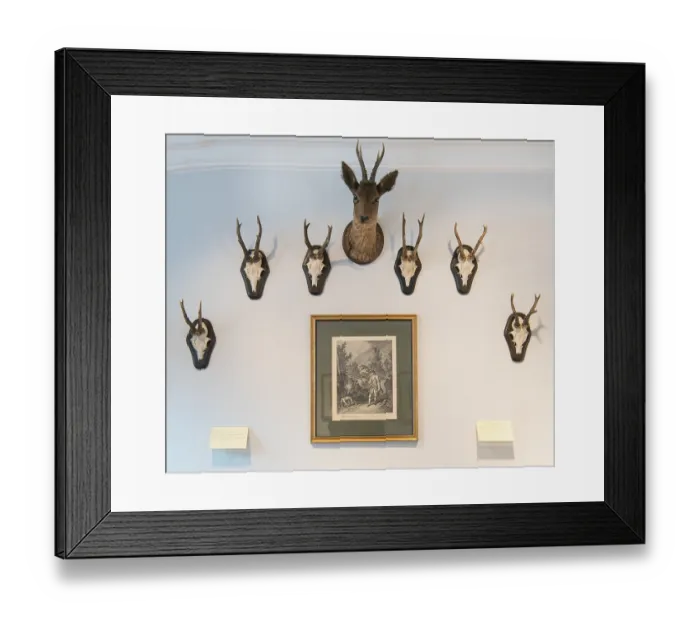 Framed Print : Hunting lodge Clemenswerth, Sogel