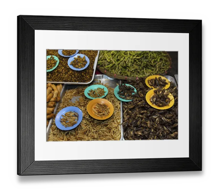Framed Print : Grilled silkworms and fried crickets