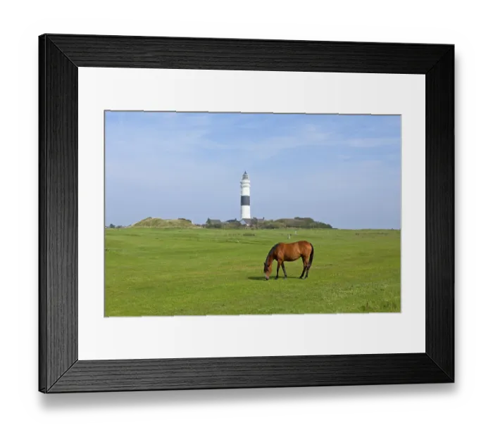 Framed Print : Lighthouse, horse, Kampen, Sylt island