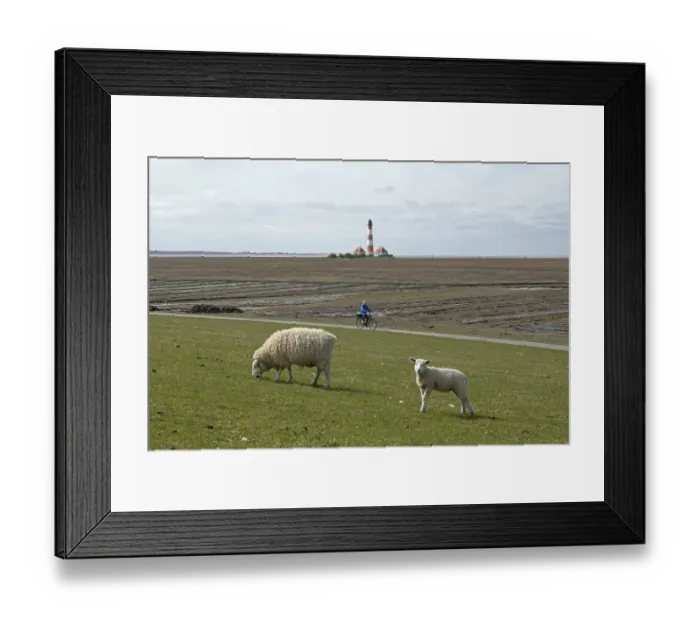 Framed Print : Ewe and lamb grazing on dyke in front of Westerhever lighthouse