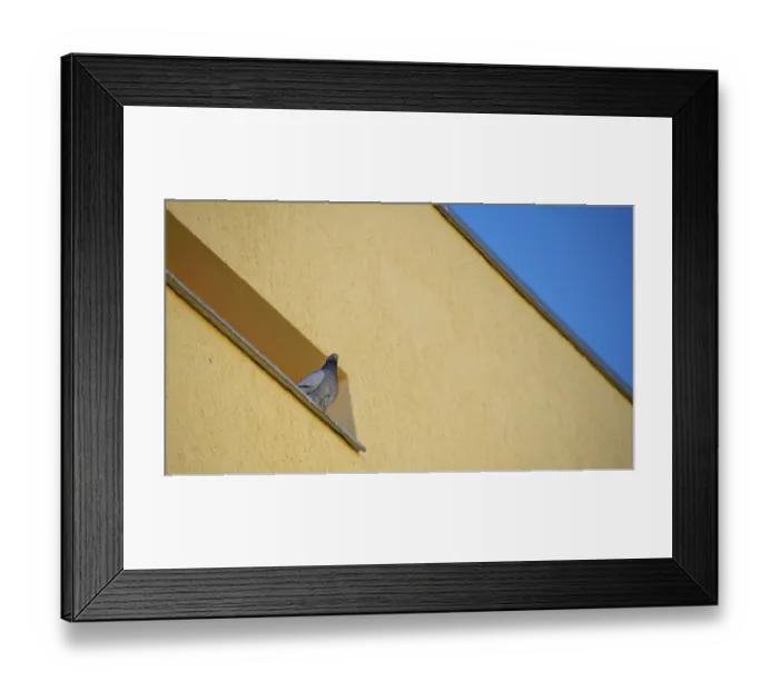 Framed Print : Dove, sky and house facade in the national colours of the Ukrainian flag