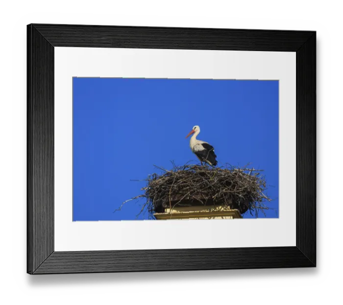 Framed Print : Rammenau Baroque Castle Framed Print : Rammenau Baroque Castle