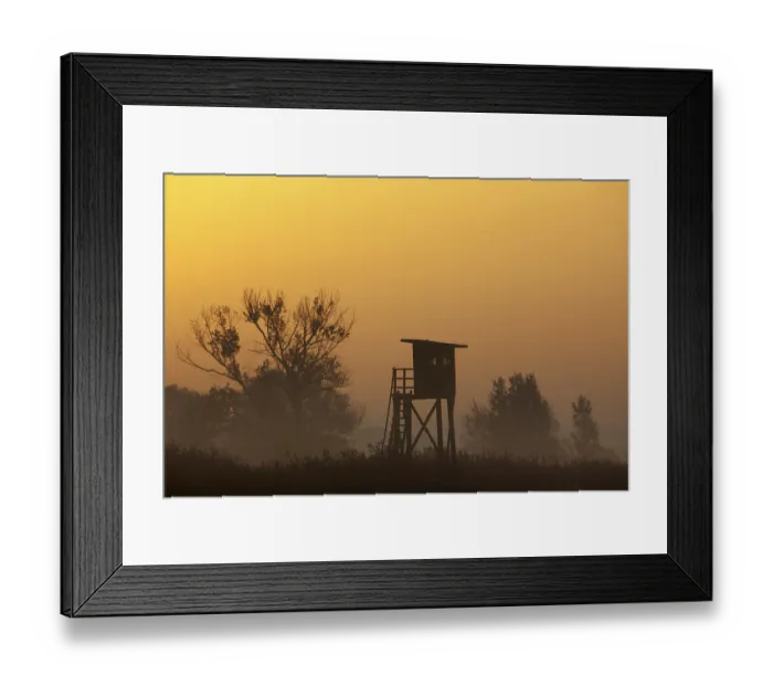 Framed Print : Raised stand for hunting roe deer in morning mist at sunrise in field