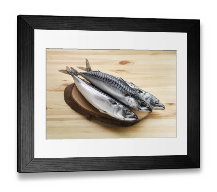 Framed Print : Frozen mackerel on wooden table