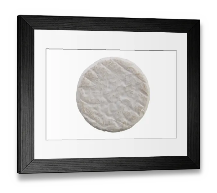 Framed Print : Camembert cheese isolated on white background