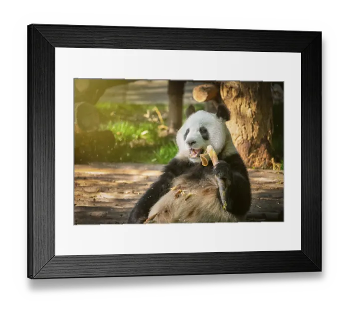 Framed Print : Chinese tourist symbol and attraction Framed Print : Chinese tourist symbol and attraction