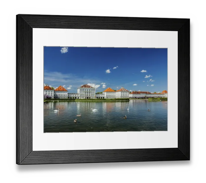 Framed Print : Swans and ducks in artificial pool in front of the Nymphenburg Palace
