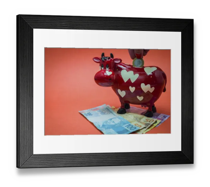 Framed Print : Great concept of economy for vacations Framed Print : Great concept of economy for vacations