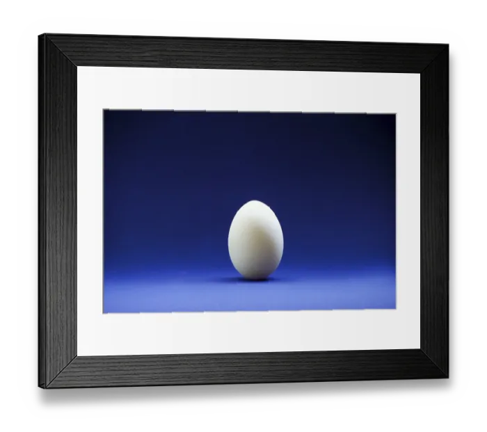 Framed Print : Closeup of one single hen's egg Framed Print : Closeup of one single hen's egg