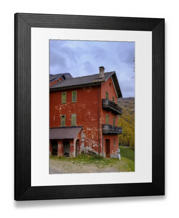 Framed Print : Duck (ANAS), road warden's cottage Framed Print : Duck (ANAS), road warden's cottage