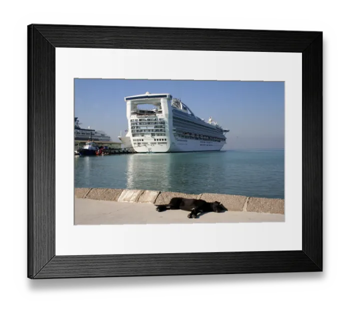 Framed Print : A black dog takes a nap against the backdrop of a cruise ship in the port of Kusadasi