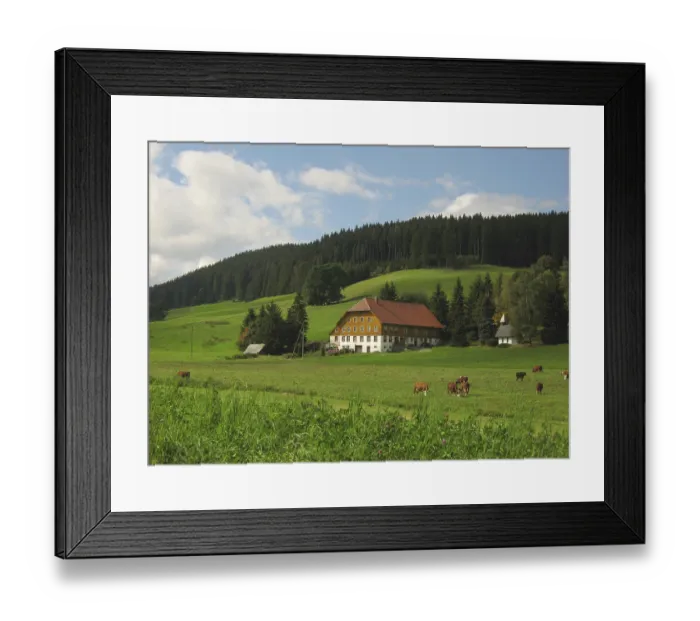 Framed Print : Farm with chapel and cows in Titisee