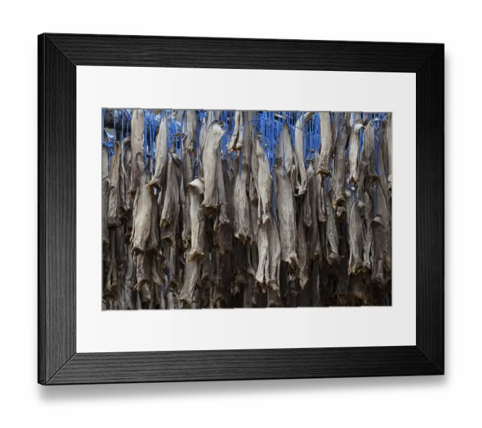 Framed Print : Dried fish, Iceland, Europe