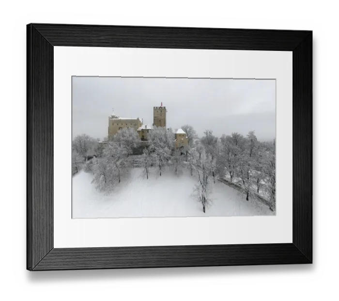 Framed Print : Bruneck Castle