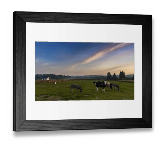 Framed Print : A landscape view of farm pasture and fields with donkeys and horses and goats under a colorful sunset sky Framed Print : A landscape view of farm pasture and fields with donkeys and horses and goats under a colorful sunset sky