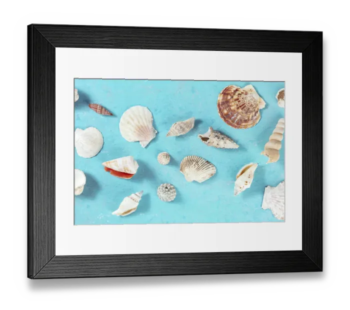 Framed Print : Ocean design with sea shells and a place for text Framed Print : Ocean design with sea shells and a place for text