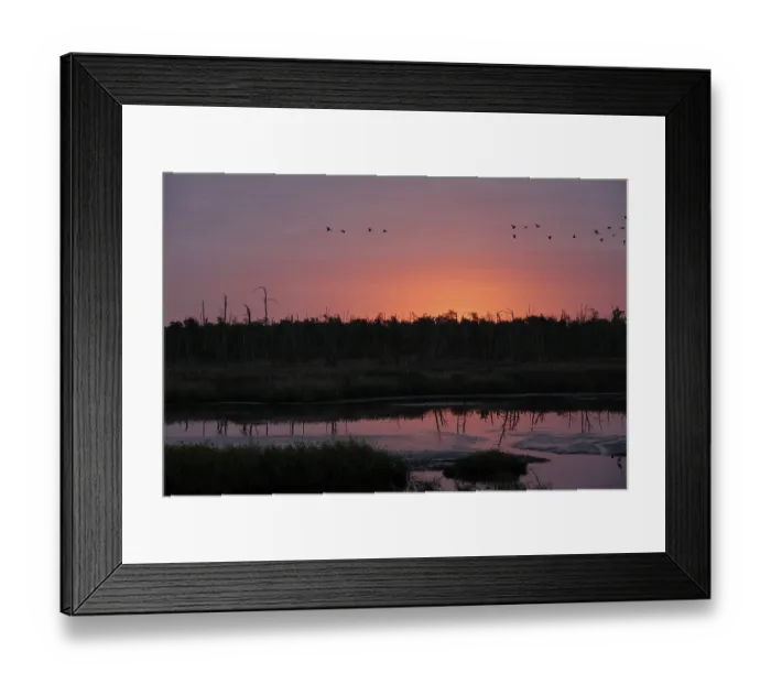Framed Print : Anklamer Stadtbruch nature reserve in the first morning light in autumn
