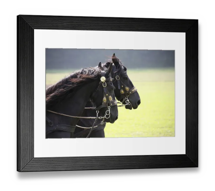 Framed Print : Coach and carriage