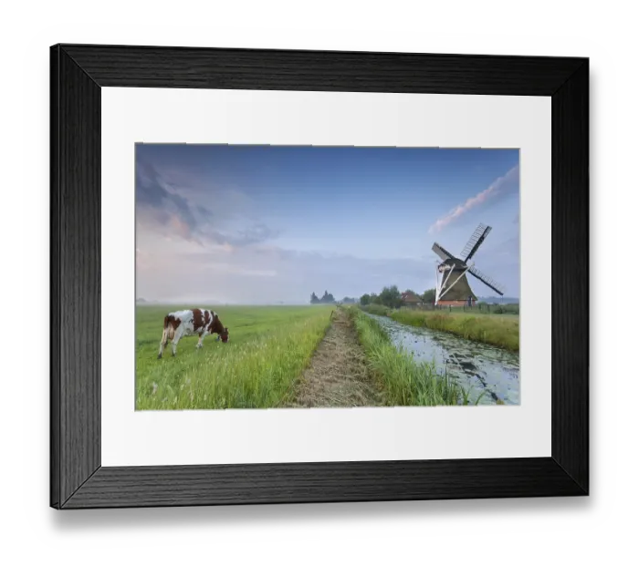 Framed Print : Cow on pasture and windmill by river in morning Framed Print : Cow on pasture and windmill by river in morning