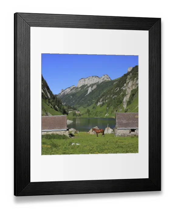 Framed Print : Summer scene at lake Fahlensee