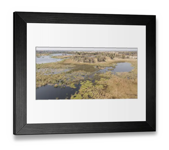 Framed Print : Okavango Delta Botswana aerial view shot from a helicopter Framed Print : Okavango Delta Botswana aerial view shot from a helicopter