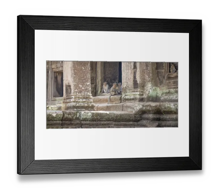Framed Print : Monkeys in the temple complex of Angkor Wat