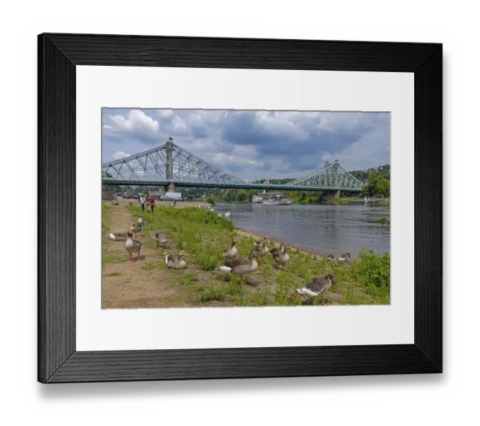 Framed Print : Dresden Framed Print : Dresden
