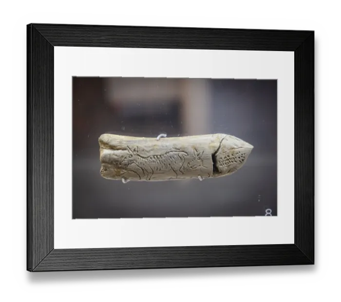 Framed Print : Two deer on reindeer antler, Upper Palaeolithic Magdalenian