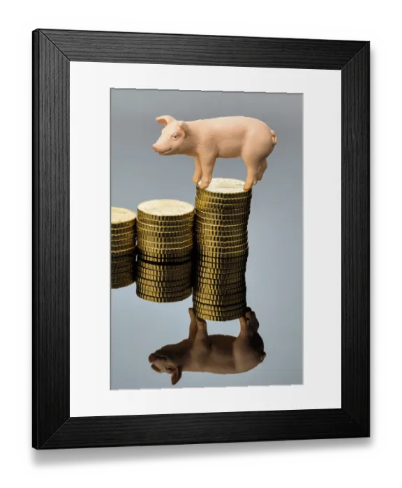 Framed Print : A pig stands on a pile of coins