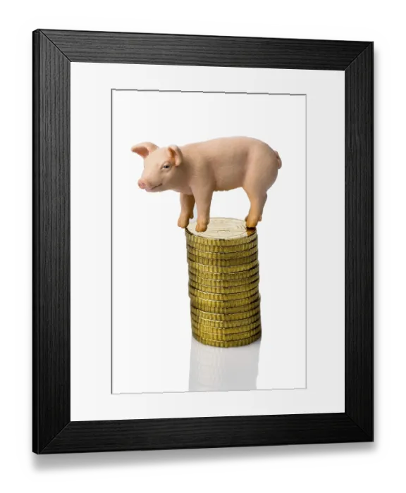 Framed Print : A pig stands on a pile of coins