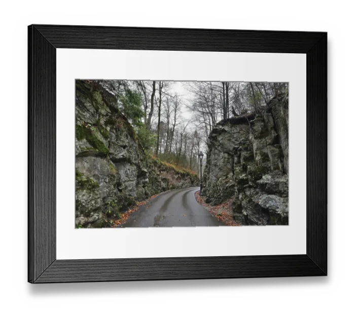 Framed Print : Stone road in the forest near Hohenschwangau castle in Germany