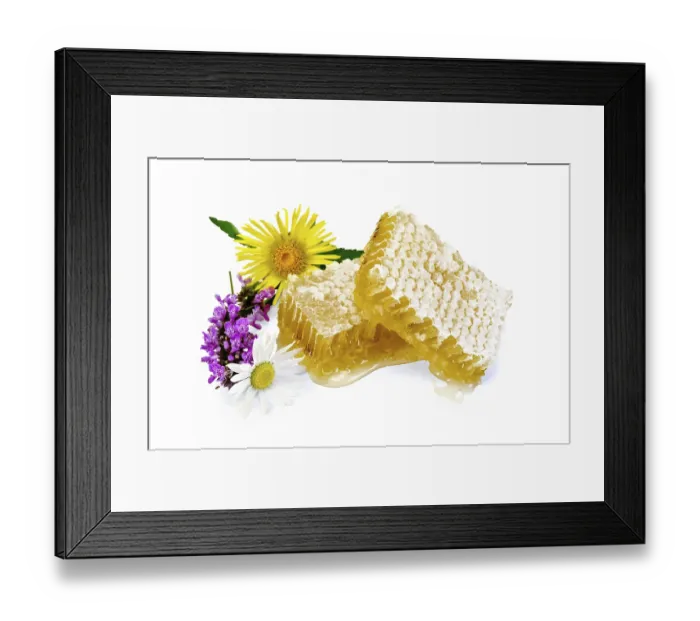 Framed Print : Honeycomb with fragrant honey, wild flowers isolated on white background