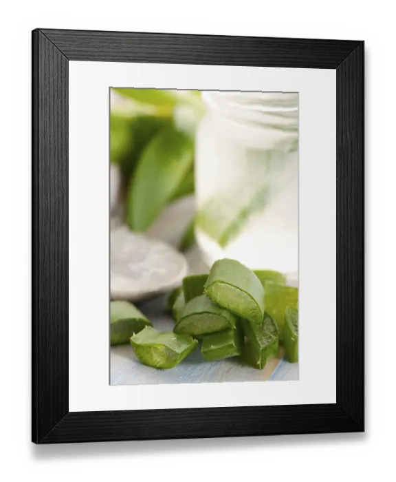 Framed Print : Aloe vera juice with fresh leaves, POLAND Framed Print : Aloe vera juice with fresh leaves, POLAND