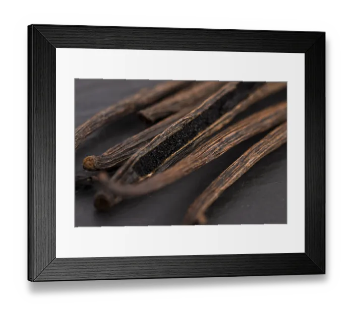 Framed Print : Vanilla pods