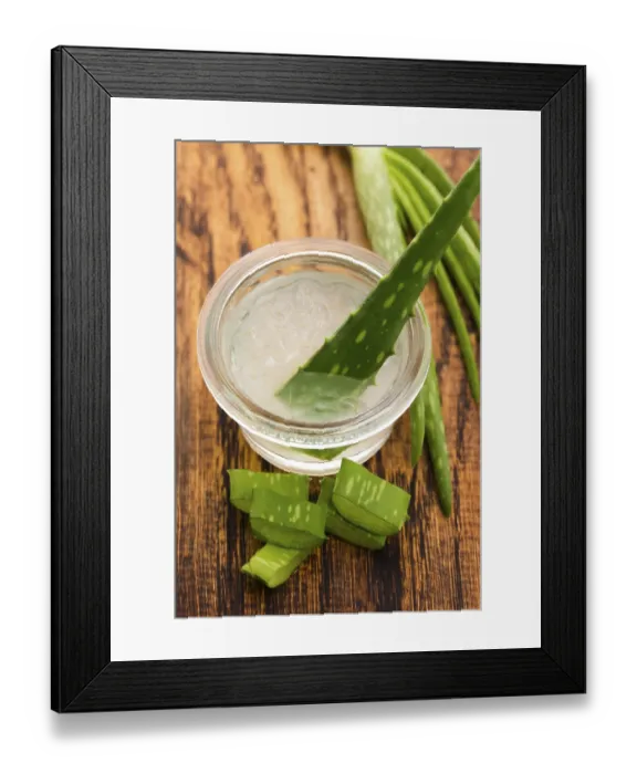 Framed Print : Aloe vera juice with fresh leaves Framed Print : Aloe vera juice with fresh leaves