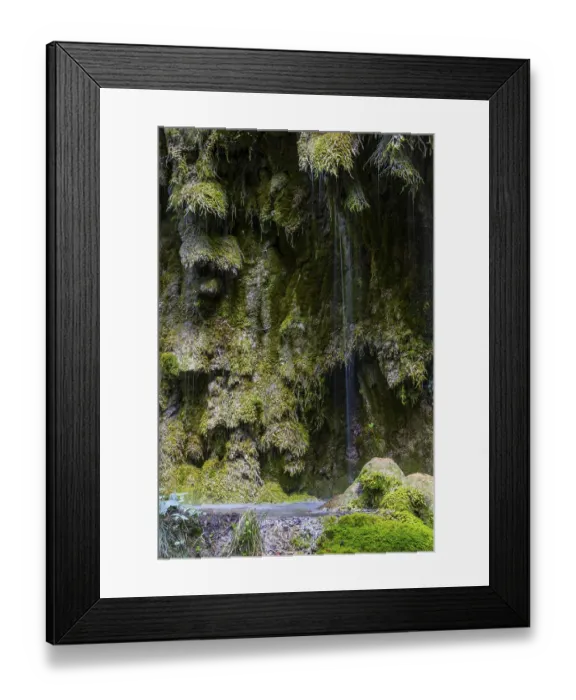 Framed Print : Sintered rock overgrown with mosses