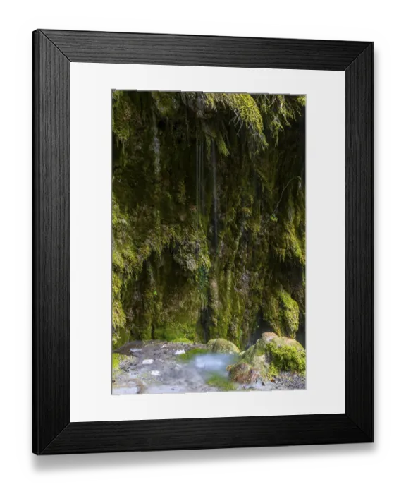 Framed Print : Sintered rock overgrown with mosses
