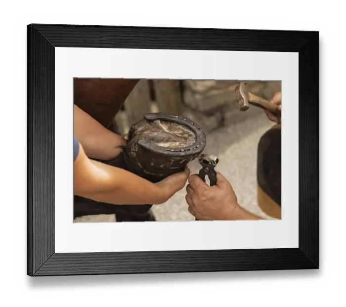 Framed Print : Farrier, blacksmith, horse, horseshoe Framed Print : Farrier, blacksmith, horse, horseshoe