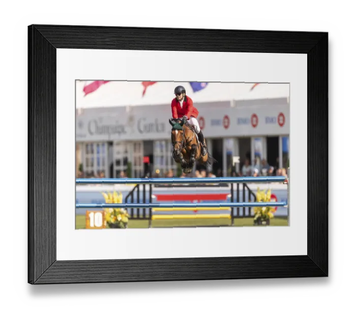 Framed Print : Jose Antonio Chedraui of Mexico