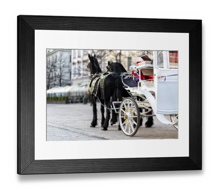 Framed Print : Horses with a carriage on the main square of Krakow in Poland Framed Print : Horses with a carriage on the main square of Krakow in Poland
