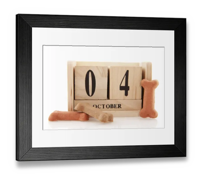 Framed Print : Four october is international animal day with dog food Framed Print : Four october is international animal day with dog food